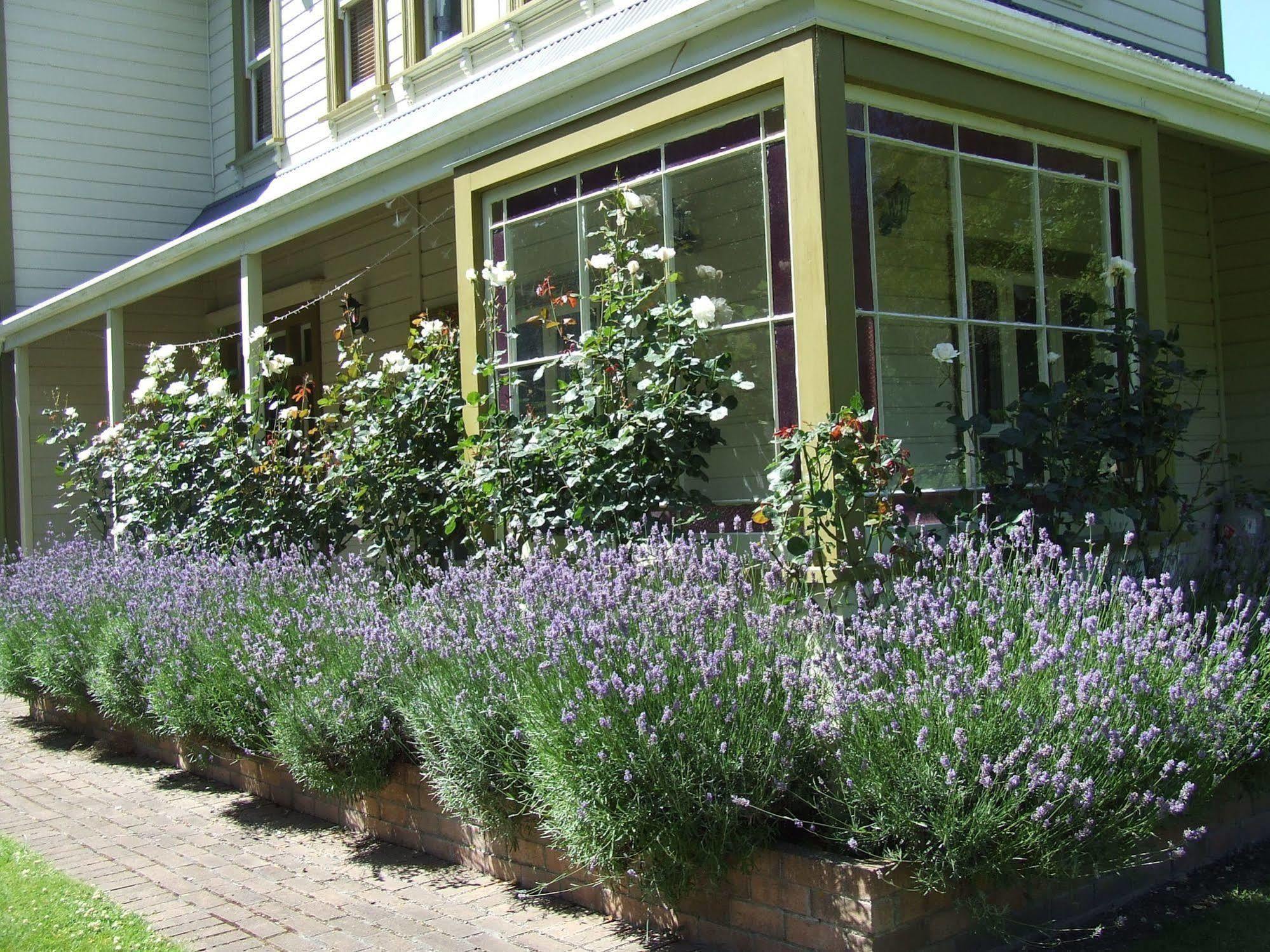 Tairoa Lodge & Cottage Hawera Exterior foto